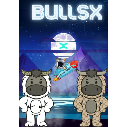 Profile picture of collection BullsX